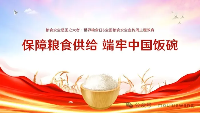 粮食安全.jpg